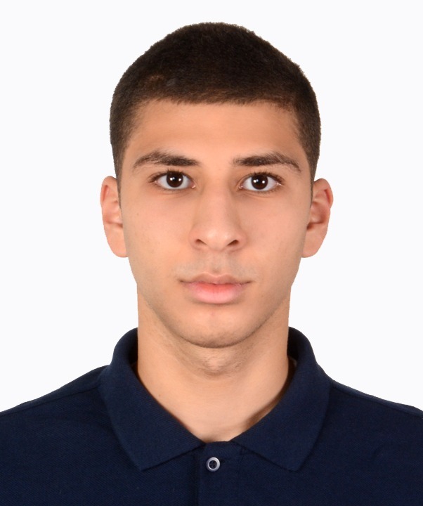 Mr. Ahmed Kamaleldien